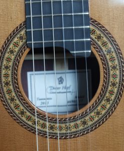 Dieter Hopf portentosa grande furioso guitare classique luthier