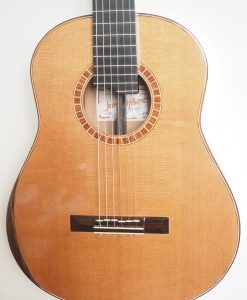 Jeroen Hilhorst guitare classique luthier 111