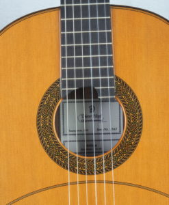 Dieter Hopf guitare luthier Artista Membrane No 19HOP163-07