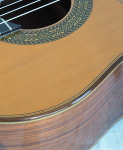 Dieter Hopf guitare luthier Artista Membrane No 19HOP163-02