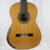 Domenic Roscioli 2026 n° 248 lattice - Australie