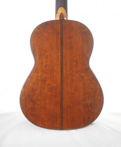 Dieter Hopf Portentosa evolucion 5043