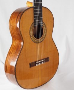 Luthier Dieter Hopf Portentosa Evolucion barrage lattice