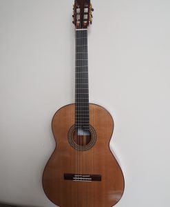 Guitare classique de concert du luthier John Price - Australie - table en cèdre et dos et éclisses en palissandre sud-américain, barrage lattice. sonorité puissante