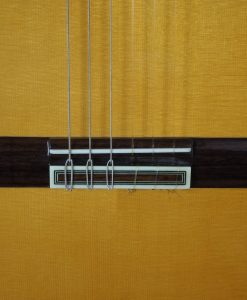 dieter Hopf progresso 16PRO016-02