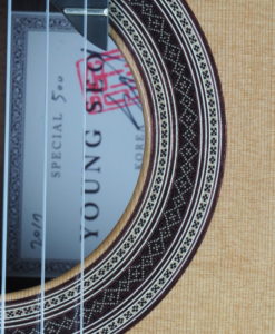 Young Seo Guitare classique modèle Special