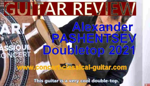 review-pashentsev-2021